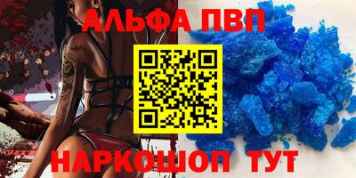 СК Бийск