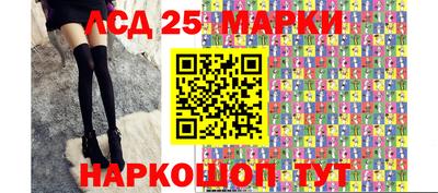 СК Бийск