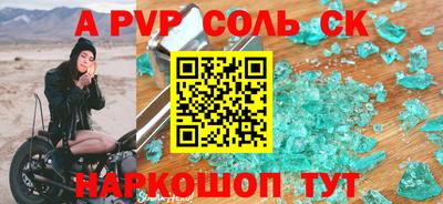 СК Бийск