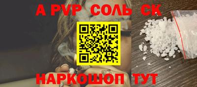 СК Бийск