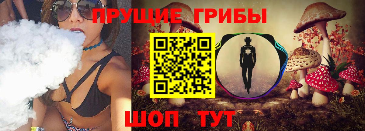 Псилоцибиновые грибы Бийск